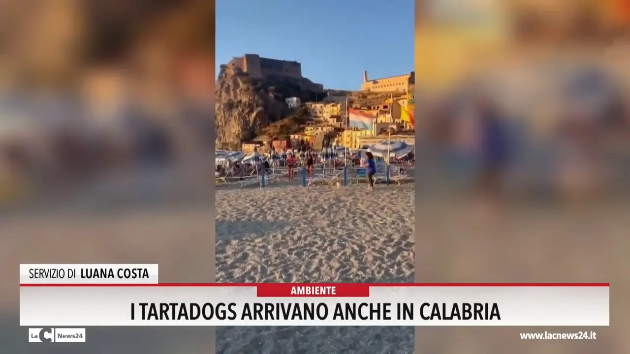 I Tartadogs arrivano anche in Calabria