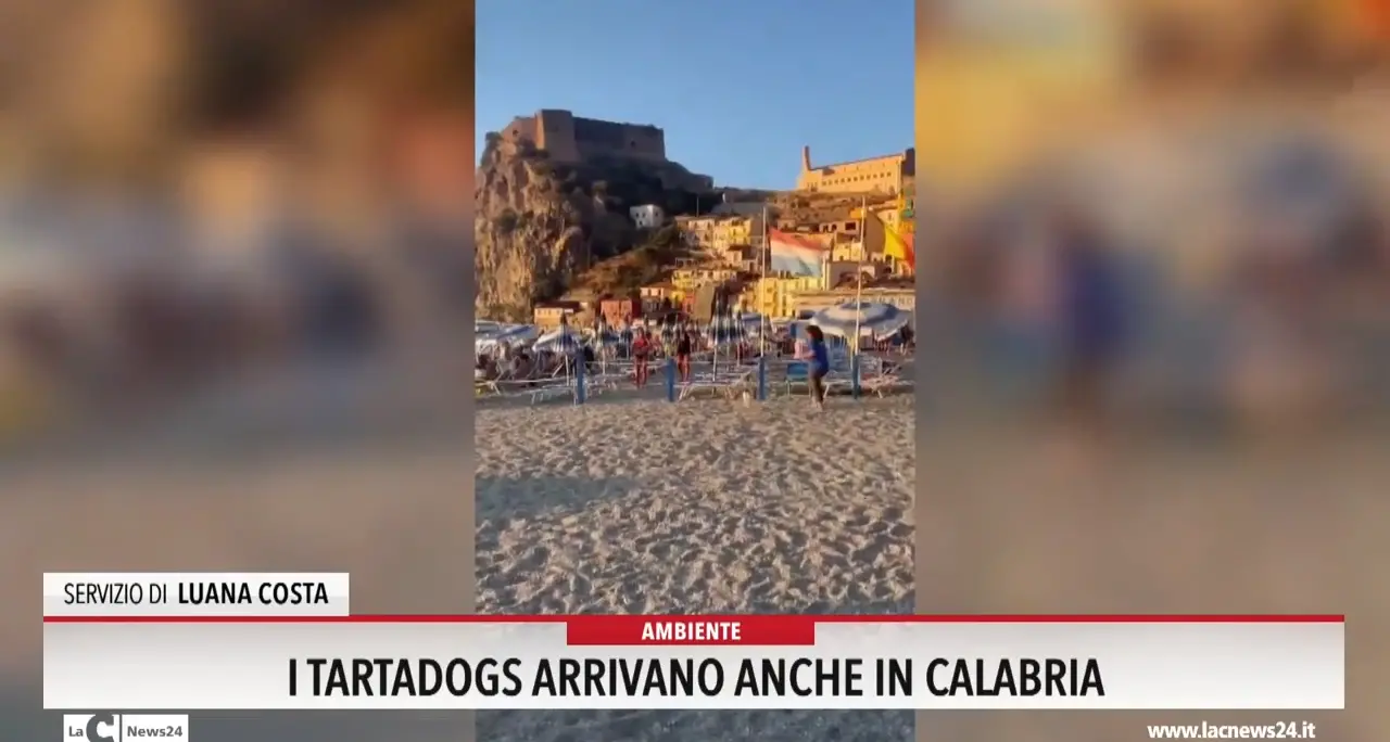 I Tartadogs arrivano anche in Calabria
