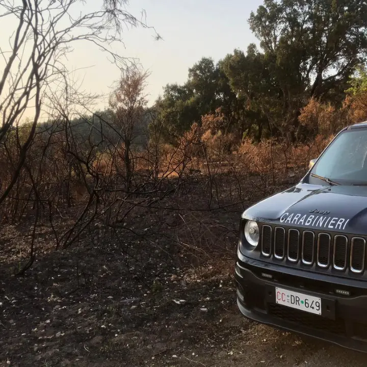 Appicca il fuoco e distrugge 37mila mq a Gimigliano: arrestato un 80enne beccato dalle telecamere\n