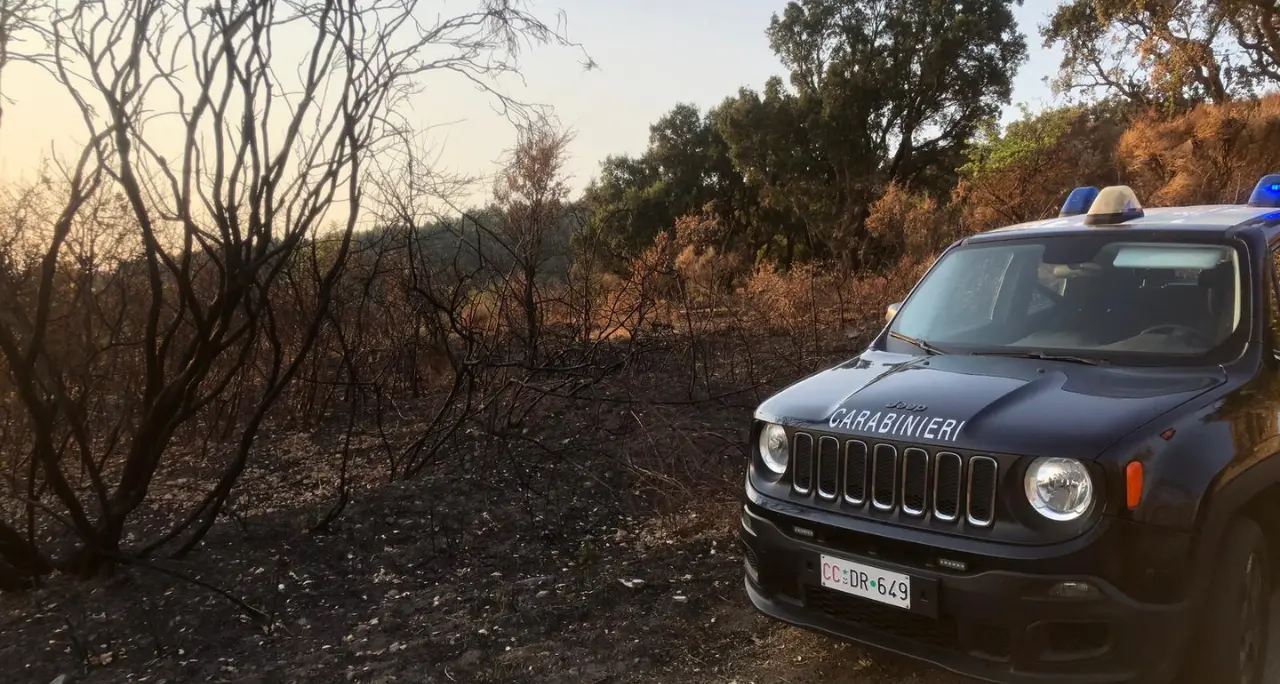 Appicca il fuoco e distrugge 37mila mq a Gimigliano: arrestato un 80enne beccato dalle telecamere\n