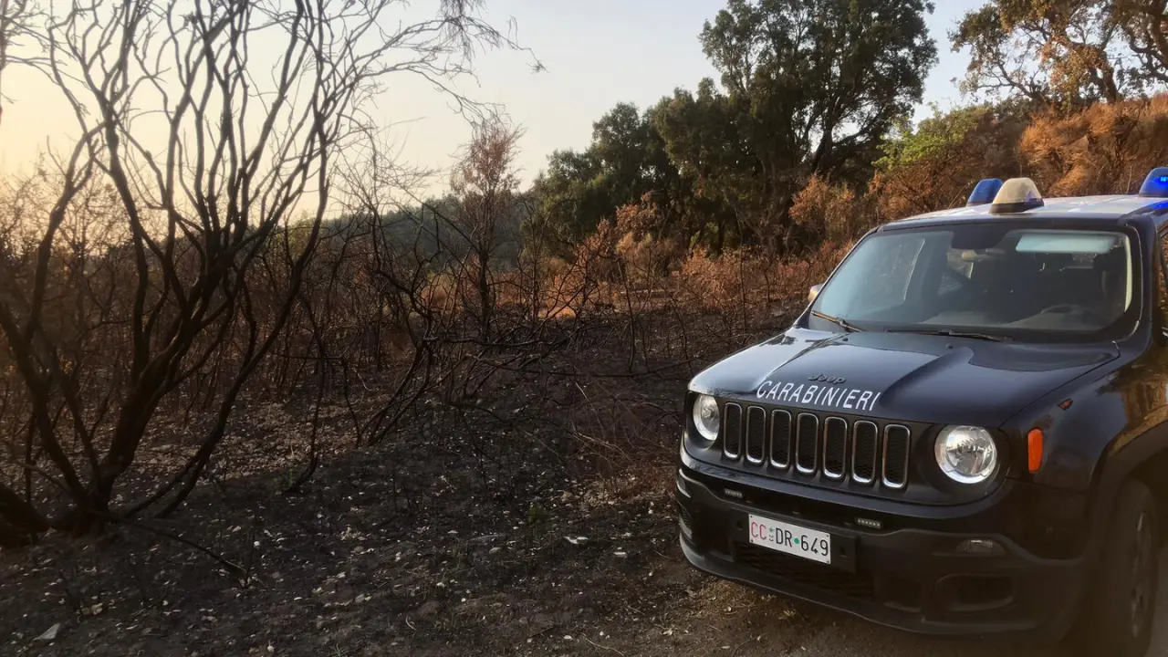 Appicca il fuoco e distrugge 37mila mq a Gimigliano: arrestato un 80enne beccato dalle telecamere\n