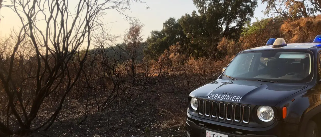 Appicca il fuoco e distrugge 37mila mq a Gimigliano: arrestato un 80enne beccato dalle telecamere\n