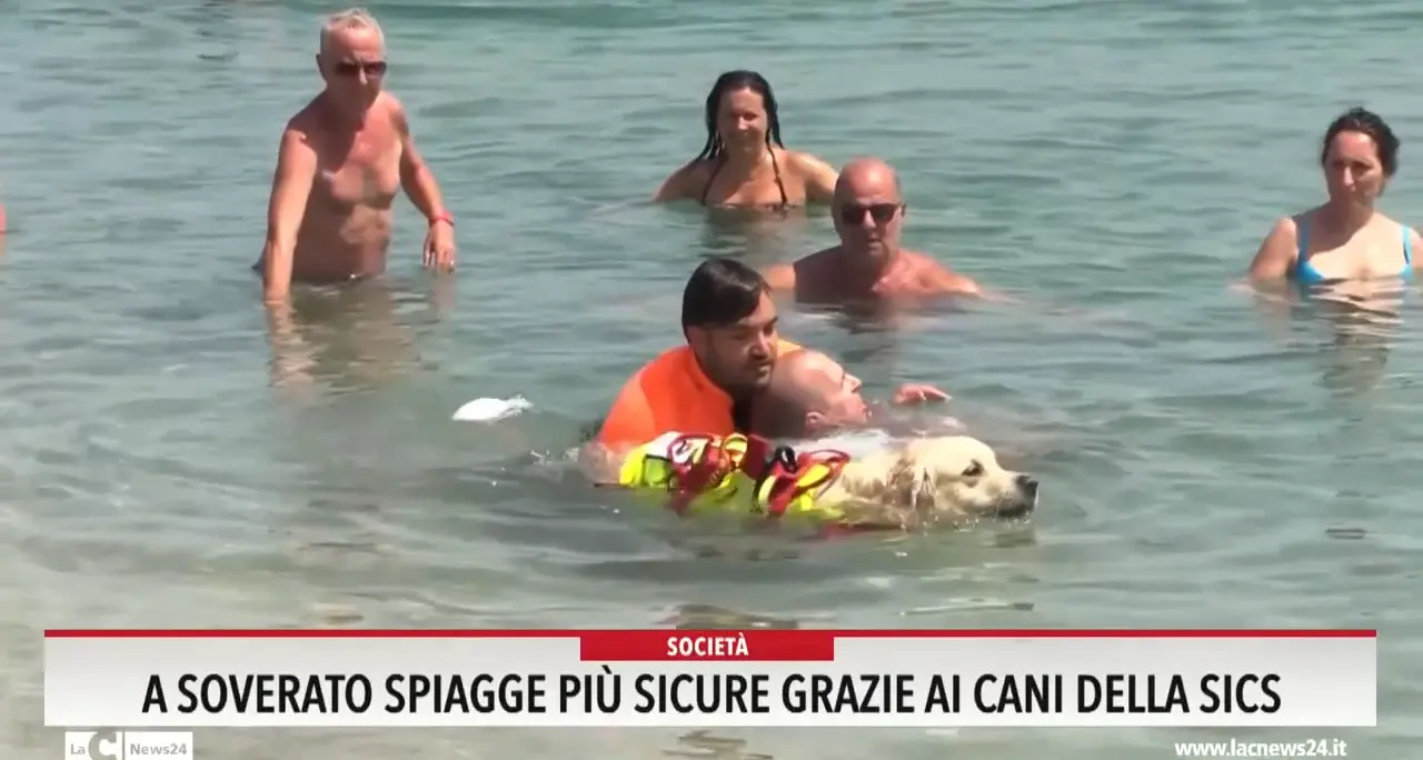 A Soverato spiagge più sicure grazie ai cani della Sics