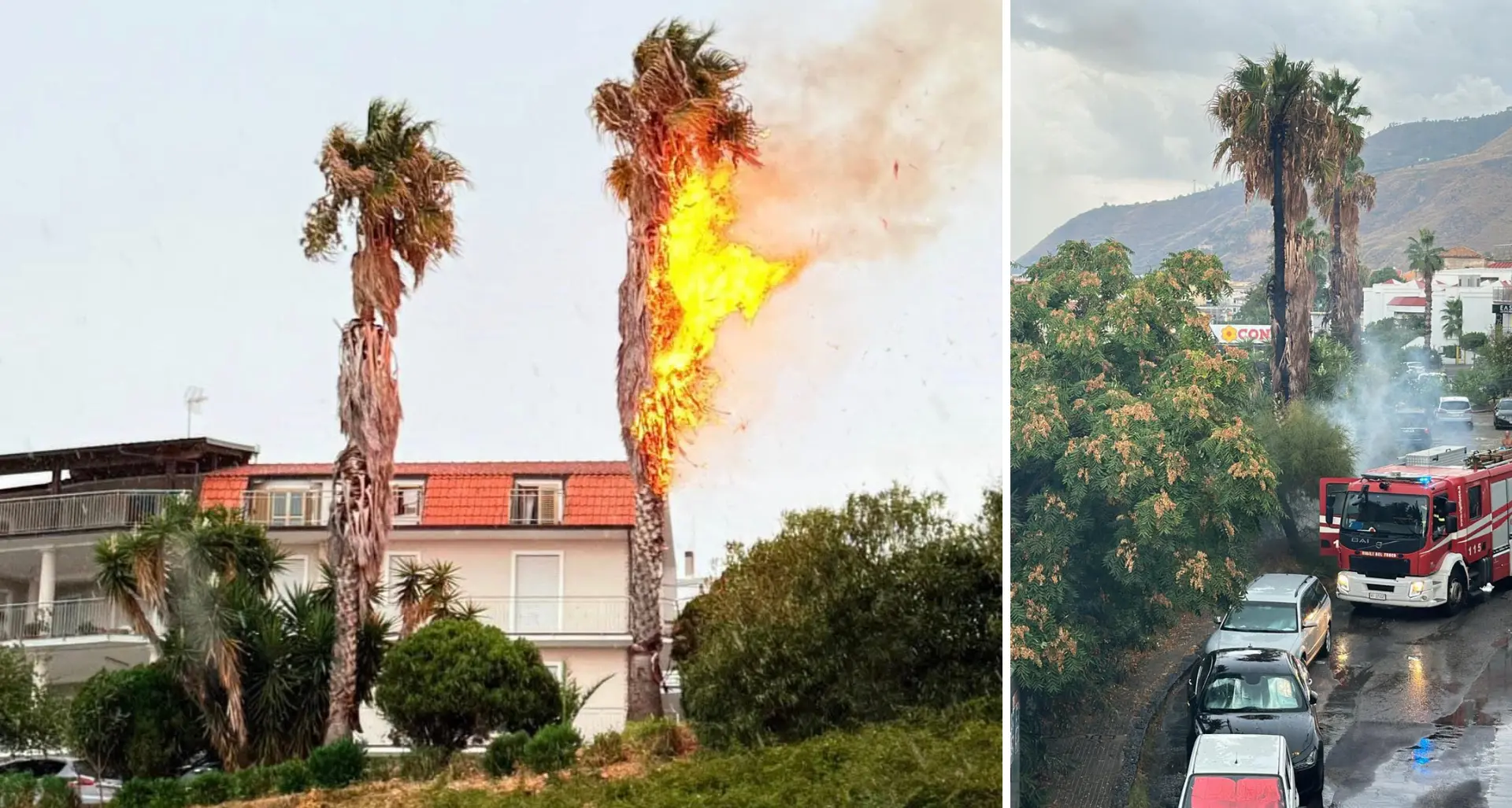 Fulmine colpisce una palma a Campora San Giovanni: incendio domato dai vigili (e dalla pioggia)