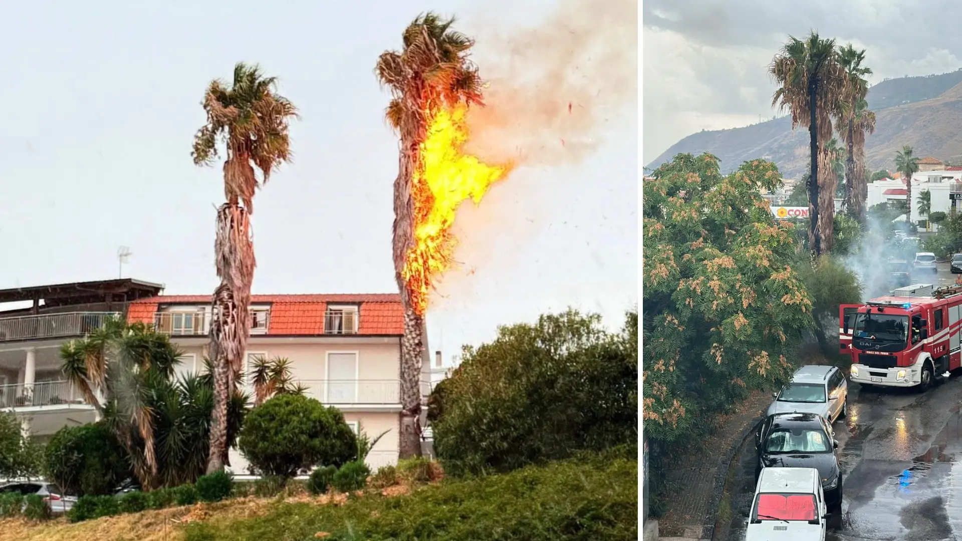 Fulmine colpisce una palma a Campora San Giovanni: incendio domato dai vigili (e dalla pioggia)