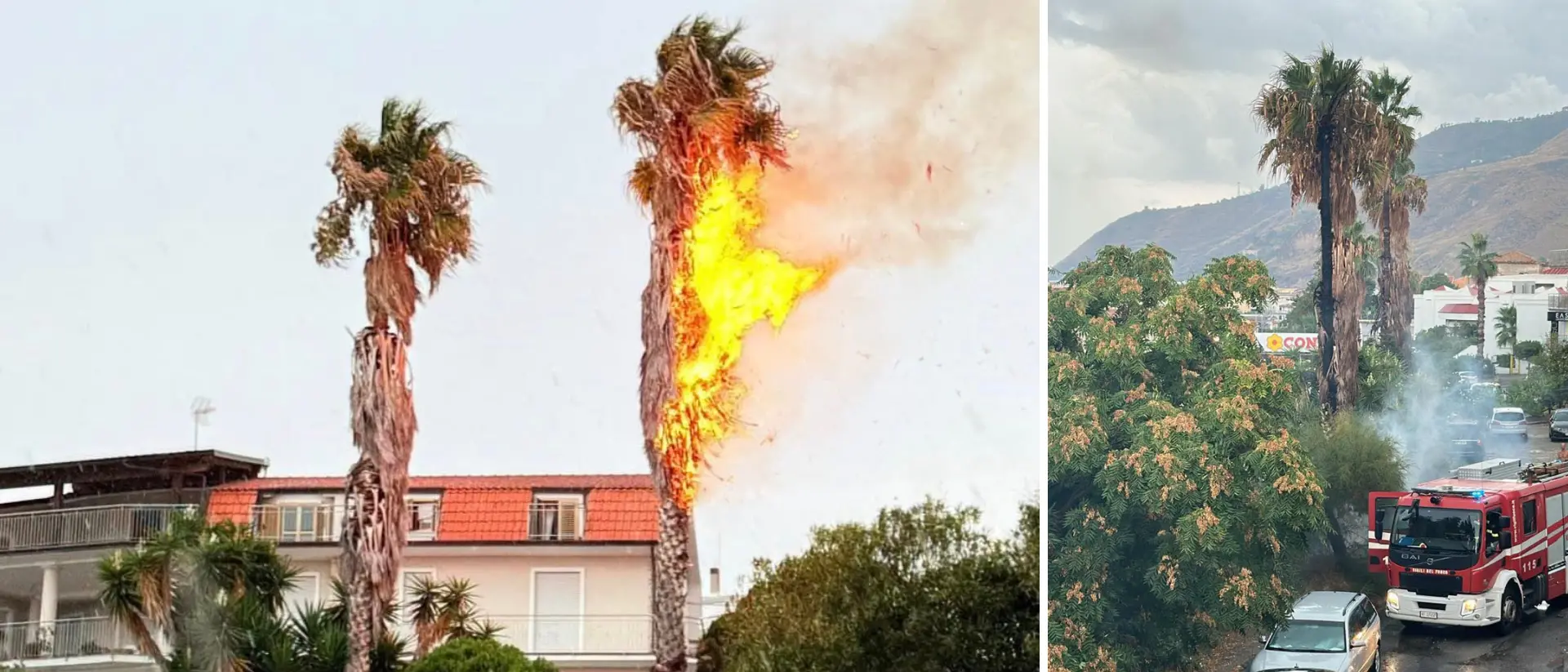 Fulmine colpisce una palma a Campora San Giovanni: incendio domato dai vigili (e dalla pioggia)