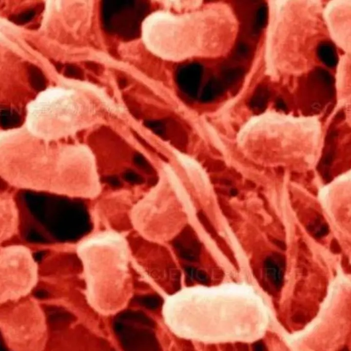 Bolzano, il batterio killer era nei dispenser di sapone