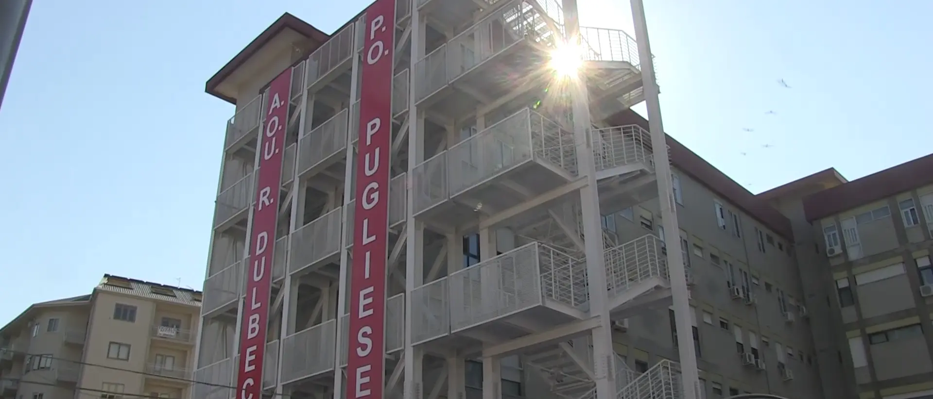 Zanzara del Nilo, il dottor Paolo Scerbo rassicura:\u00A0«Solo per l’1% dei pazienti è letale»\n