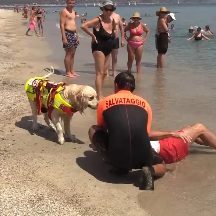 A Soverato spiagge più sicure grazie ai cani eroi della Scuola di salvataggio: «In 10 anni incidenti notevolmente ridotti»