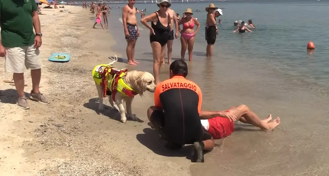 A Soverato spiagge più sicure grazie ai cani eroi della Scuola di salvataggio: «In 10 anni incidenti notevolmente ridotti»