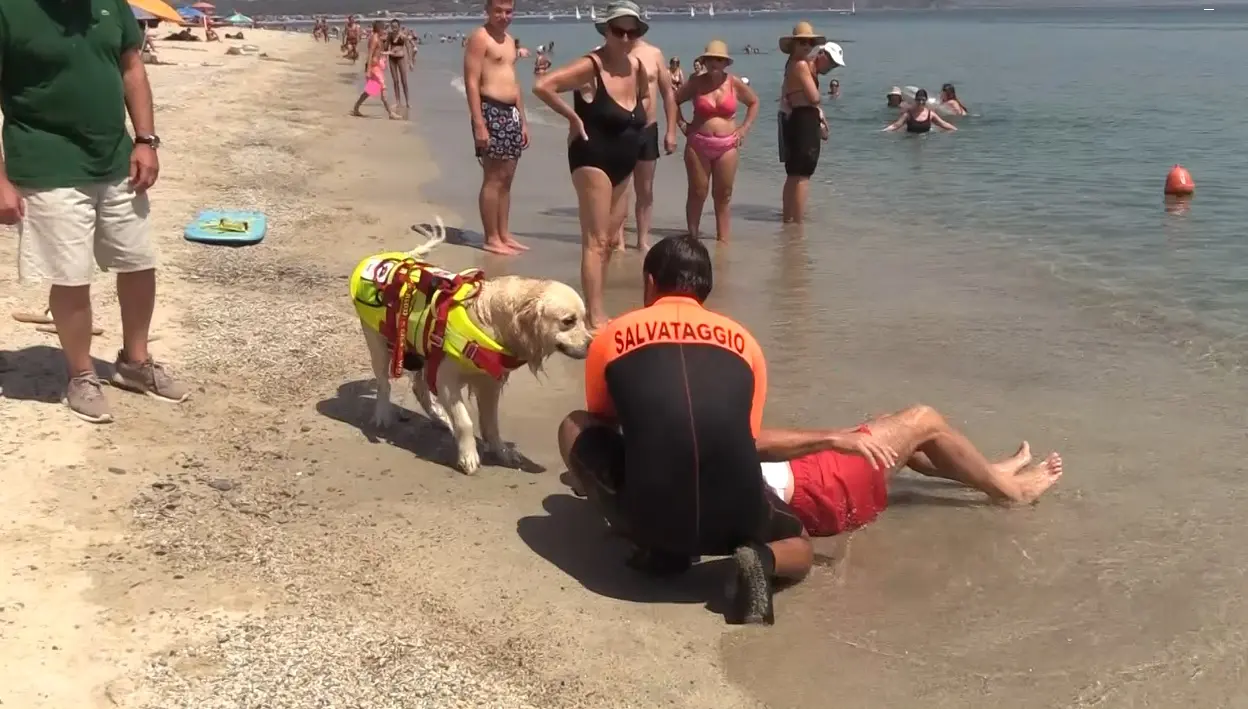 A Soverato spiagge più sicure grazie ai cani eroi della Scuola di salvataggio: «In 10 anni incidenti notevolmente ridotti»