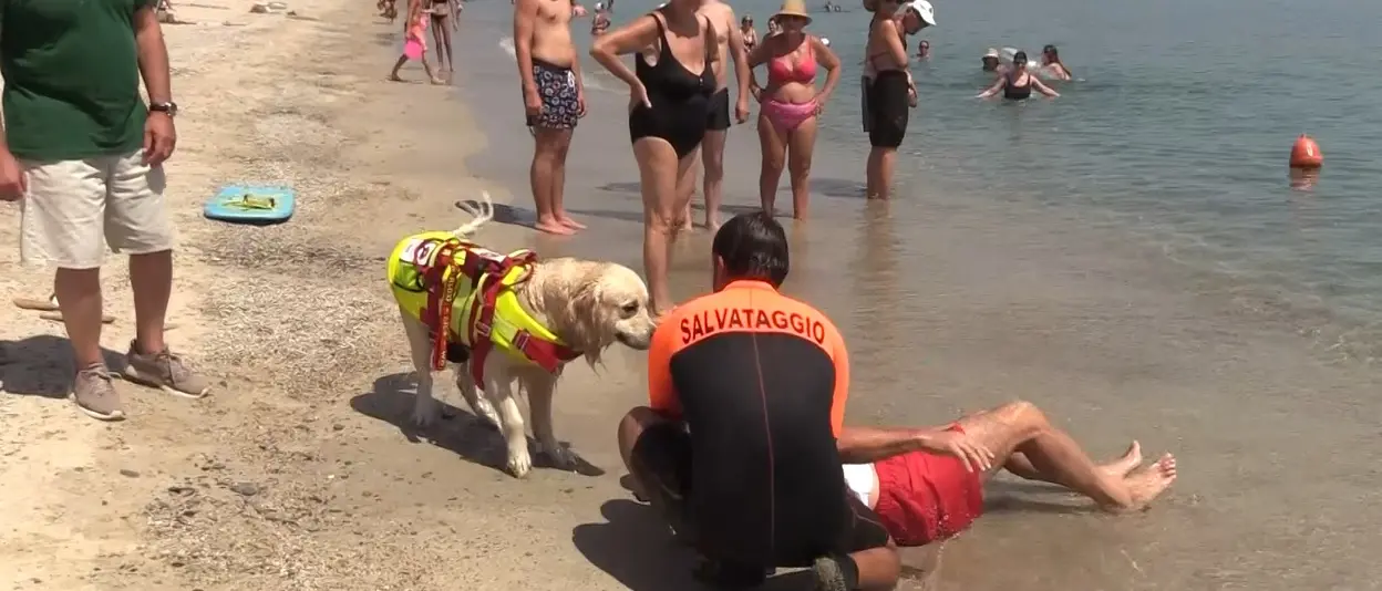 A Soverato spiagge più sicure grazie ai cani eroi della Scuola di salvataggio: «In 10 anni incidenti notevolmente ridotti»