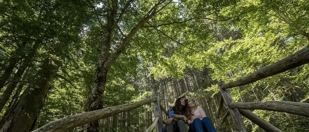 «A’ Sila vò capita»: il canto malinconico di una montagna sospesa tra il mito degli anni 90 e il vuoto di oggi\n