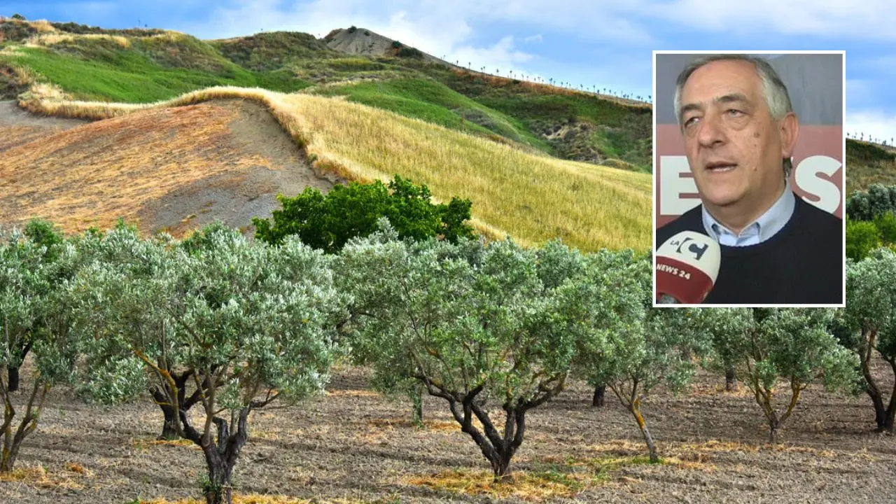 Molinaro:«La Regione sostenga le aziende\u00A0con la cambiale agraria e della pesca»\n