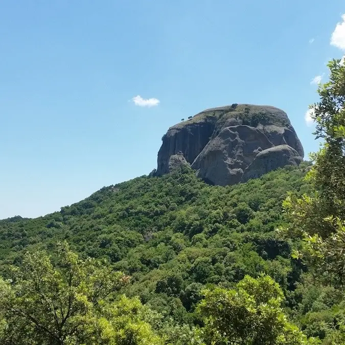 “Gente in Aspromonte”, il cibo come radice e relazione: abitare\u00A0la montagna con la pancia e con la mente\n