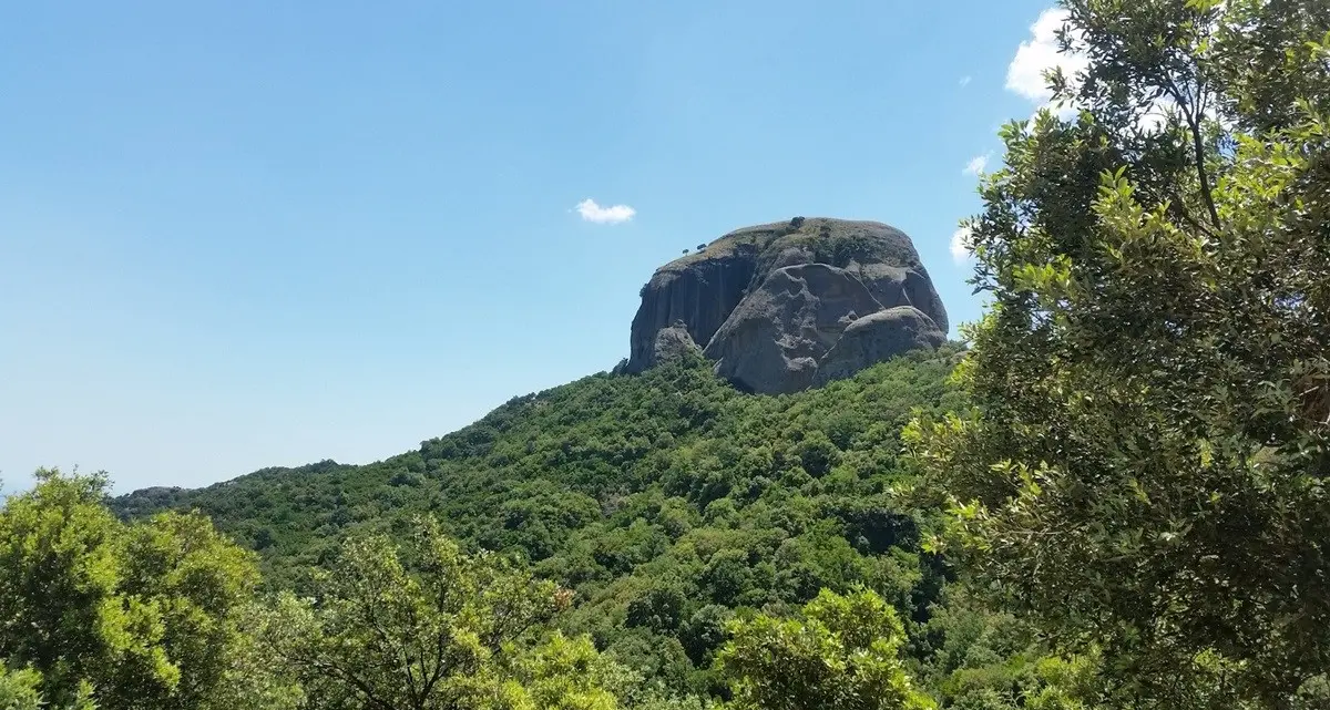 “Gente in Aspromonte”, il cibo come radice e relazione: abitare\u00A0la montagna con la pancia e con la mente\n
