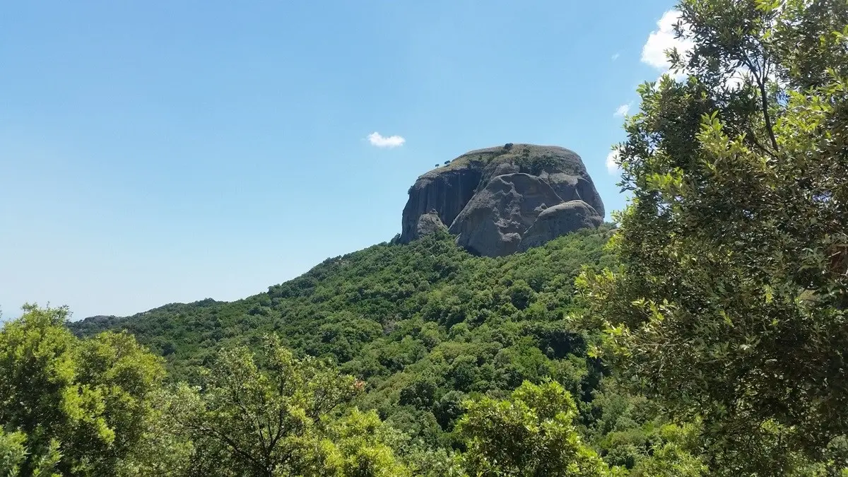 “Gente in Aspromonte”, il cibo come radice e relazione: abitare\u00A0la montagna con la pancia e con la mente\n