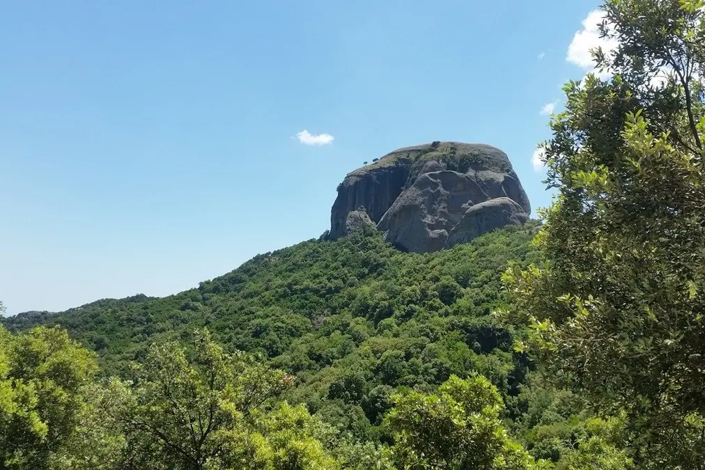 “Gente in Aspromonte”, il cibo come radice e relazione: abitare\u00A0la montagna con la pancia e con la mente\n