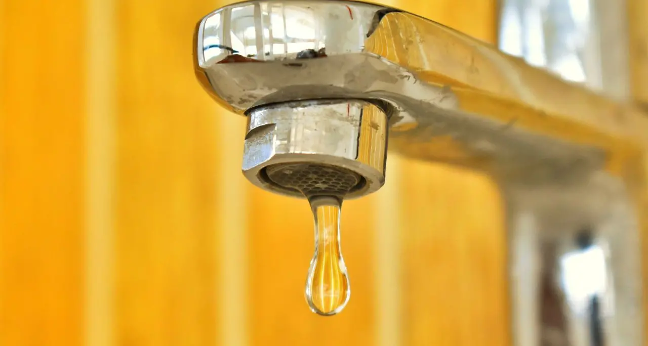 Calabria senz’acqua, Gualtieri all’Arrical: «Non regalate la depurazione ai privati, pensate alla gente»\n