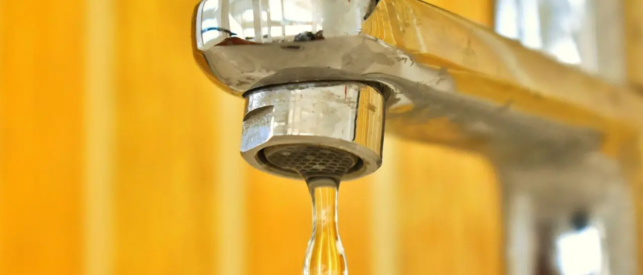 Calabria senz’acqua, Gualtieri all’Arrical: «Non regalate la depurazione ai privati, pensate alla gente»\n