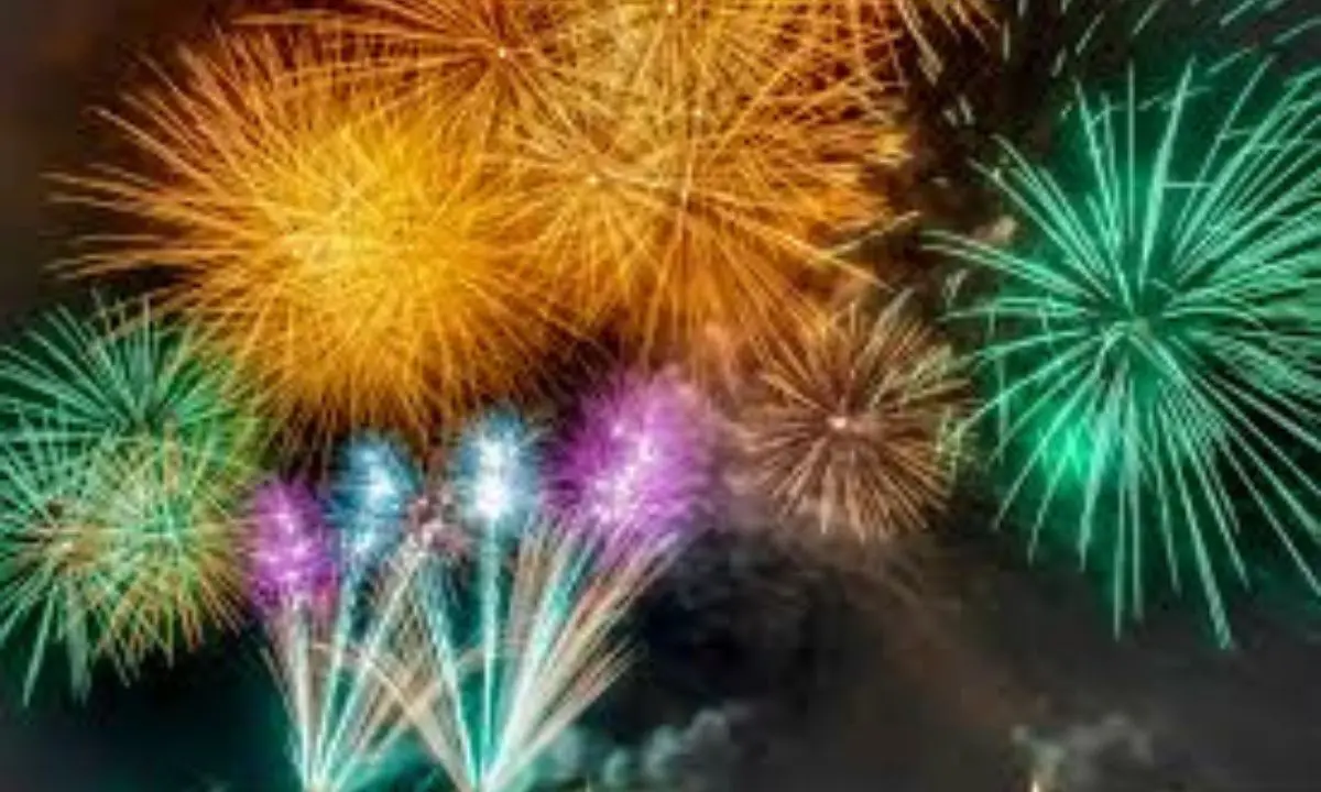 Trebisacce, ordinanza del sindaco: stop a fuochi d’artificio e petardi\n