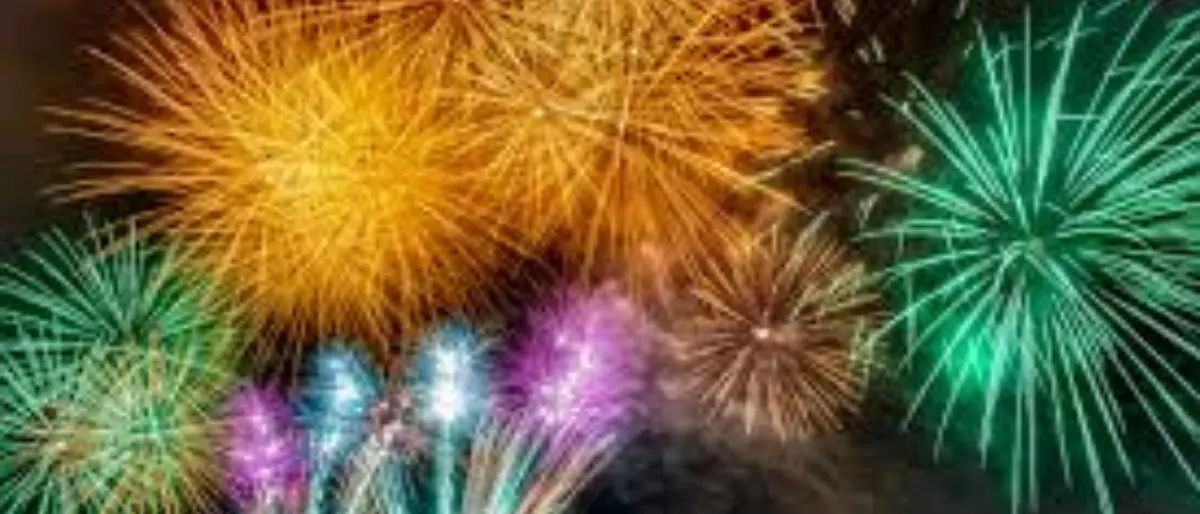 Trebisacce, ordinanza del sindaco: stop a fuochi d’artificio e petardi\n