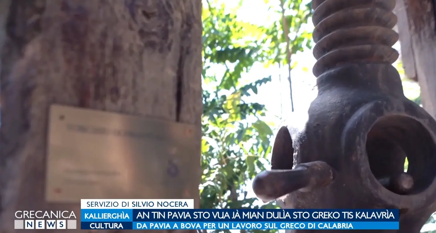 Da Pavia a Bova per un lavoro sul Greco di Calabria