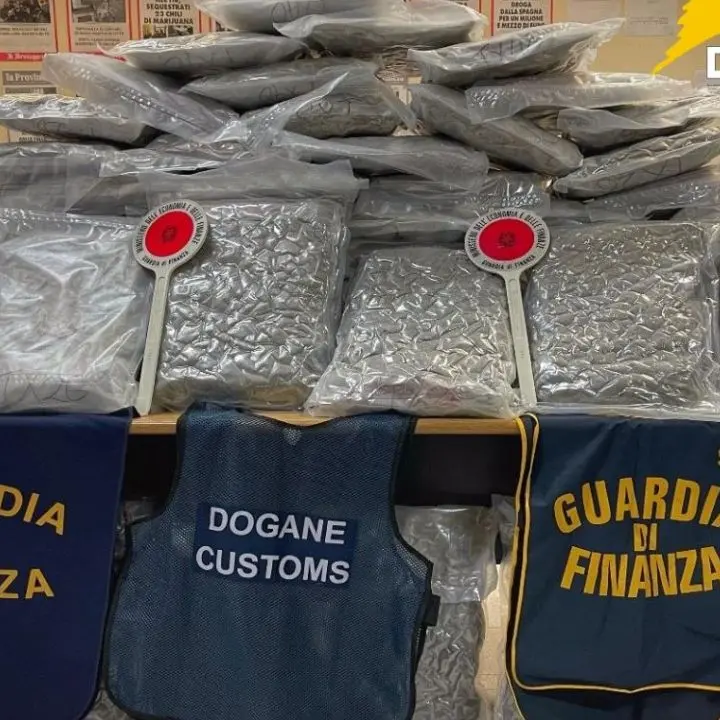 Porto di Civitavecchia, sequestrati 81 chili di marijuana nascosti in un tir\n