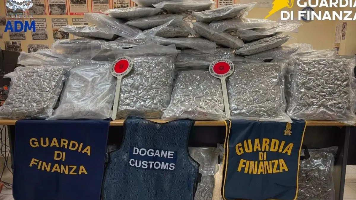La droga sequestrata a Civitavecchia