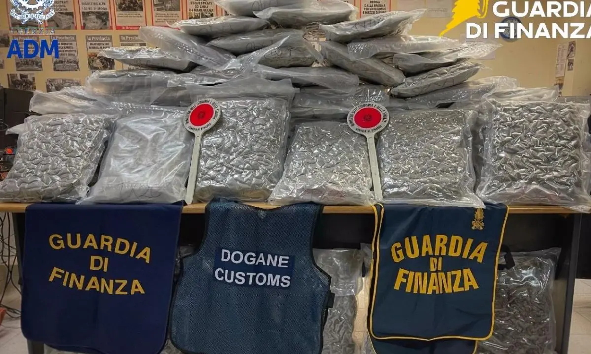 Porto di Civitavecchia, sequestrati 81 chili di marijuana nascosti in un tir\n