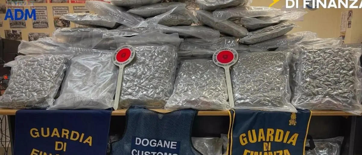 Porto di Civitavecchia, sequestrati 81 chili di marijuana nascosti in un tir\n