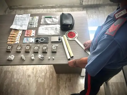 In casa più di 700 grammi di hashish, arrestato 23enne a Lamezia Terme\n