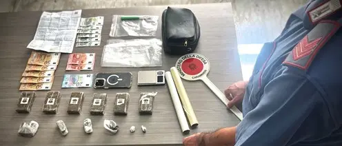 In casa più di 700 grammi di hashish, arrestato 23enne a Lamezia Terme\n