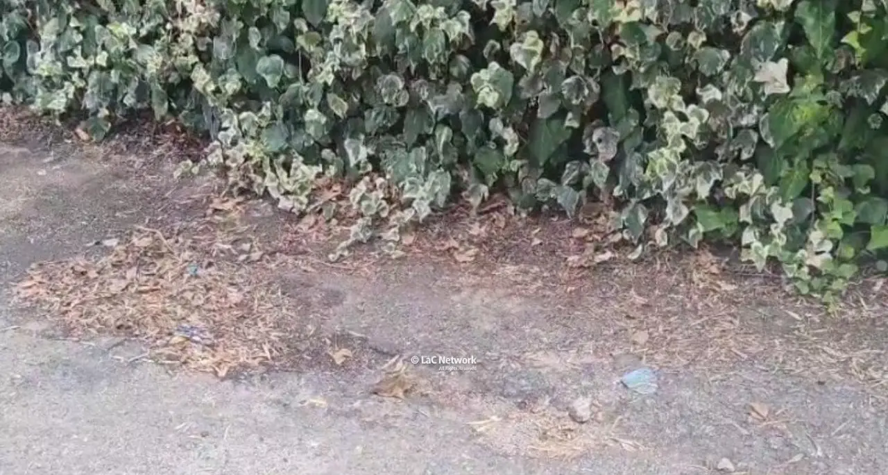 Tragedia a Catanzaro, bimbo di 2 anni travolto e ucciso da un furgoncino: indagini in corso\n