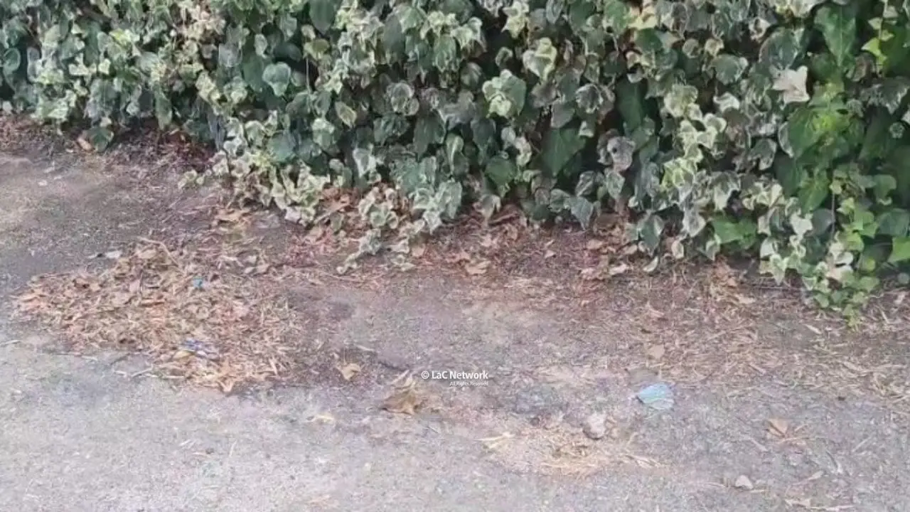 Tragedia a Catanzaro, bimbo di 2 anni travolto e ucciso da un furgoncino: indagini in corso\n