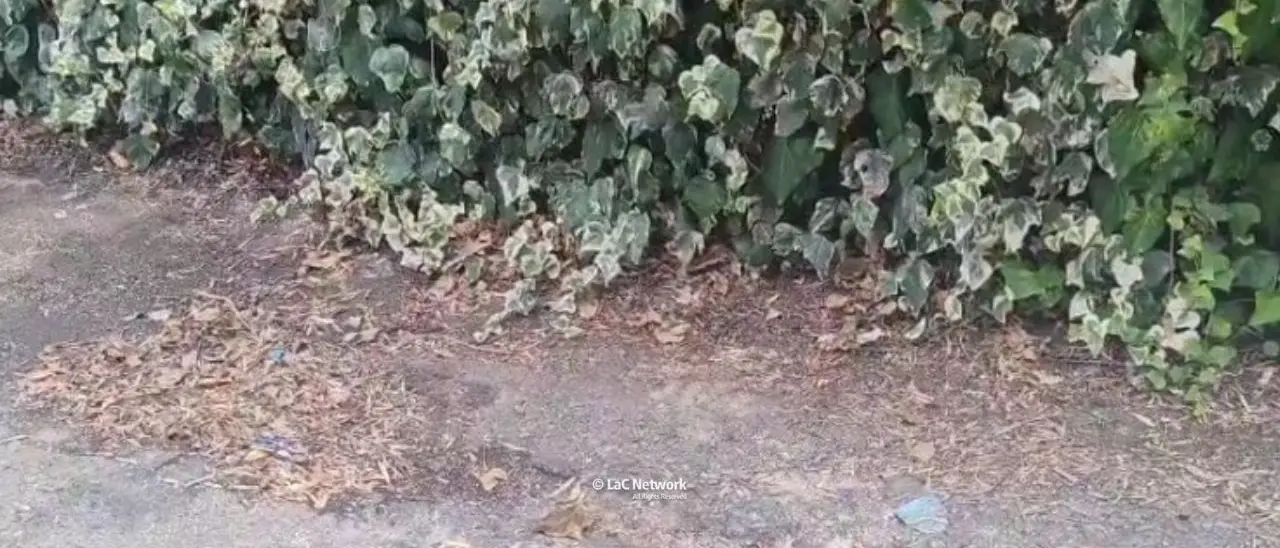 Tragedia a Catanzaro, bimbo di 2 anni travolto e ucciso da un furgoncino: indagini in corso\n