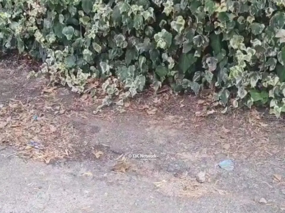 Tragedia a Catanzaro, bimbo di 2 anni travolto e ucciso da un furgoncino: indagini in corso