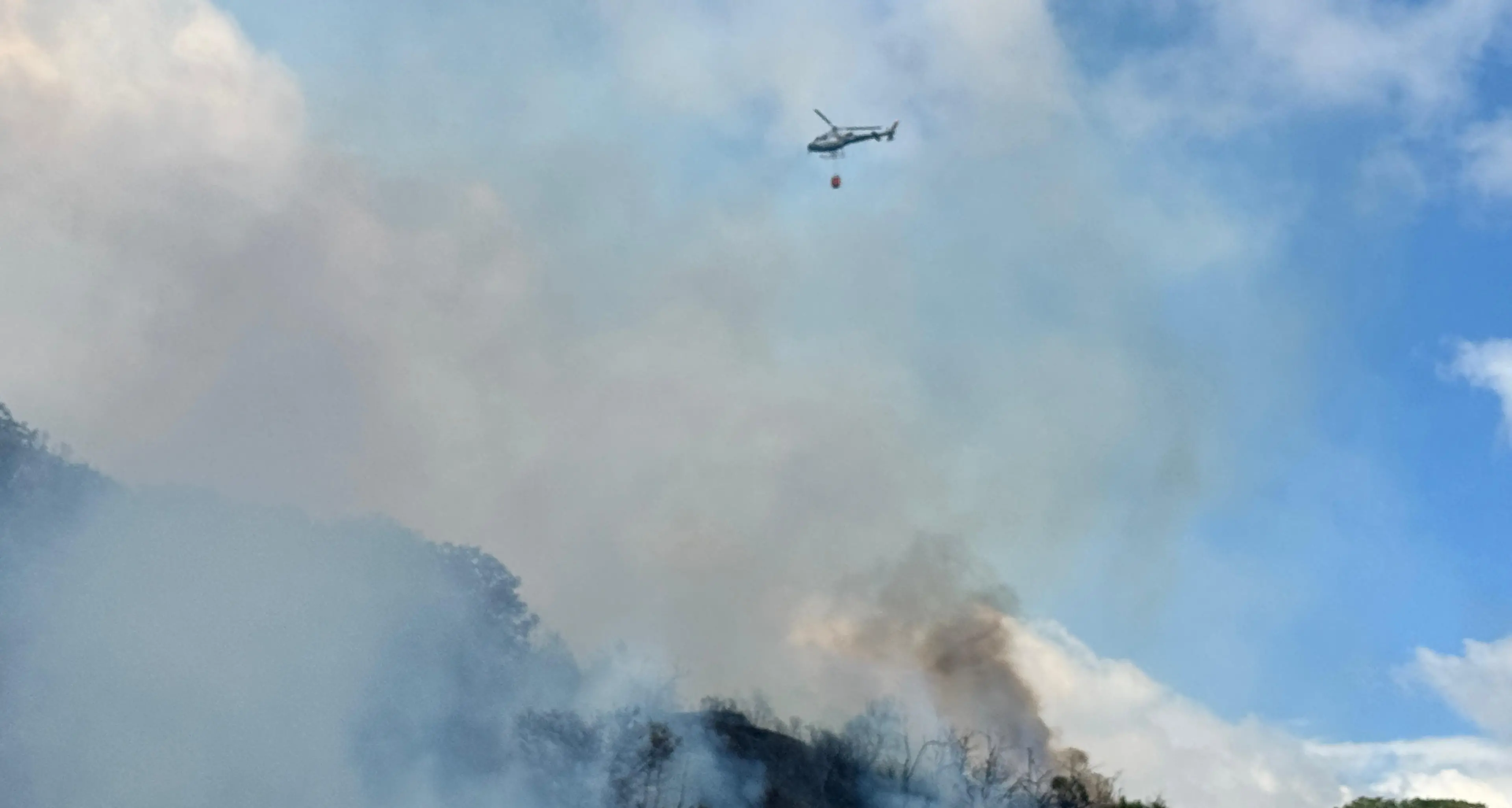 Belvedere Marittimo, vasto incendio devasta zona collinare\n