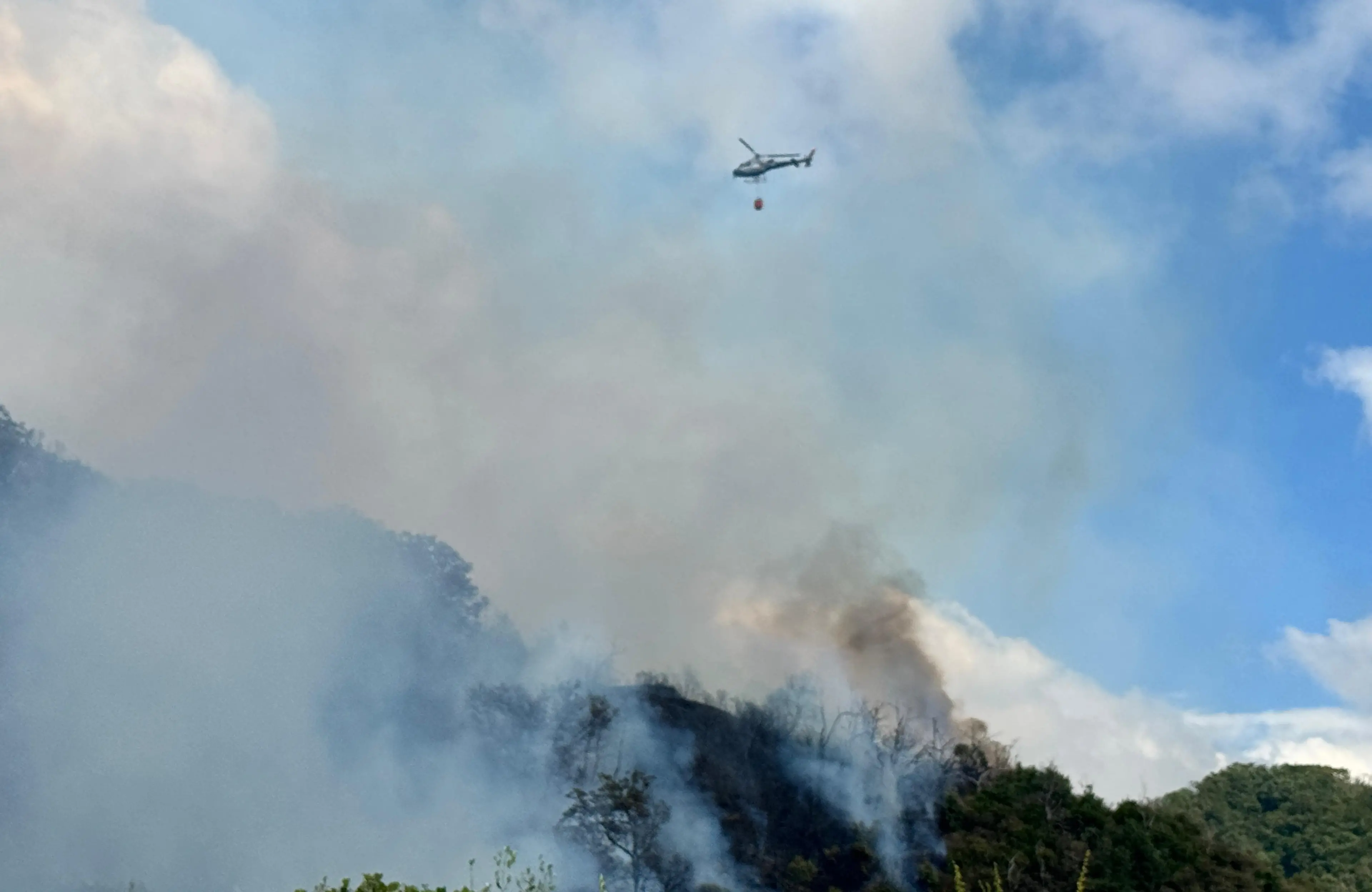 Belvedere Marittimo, vasto incendio devasta zona collinare\n