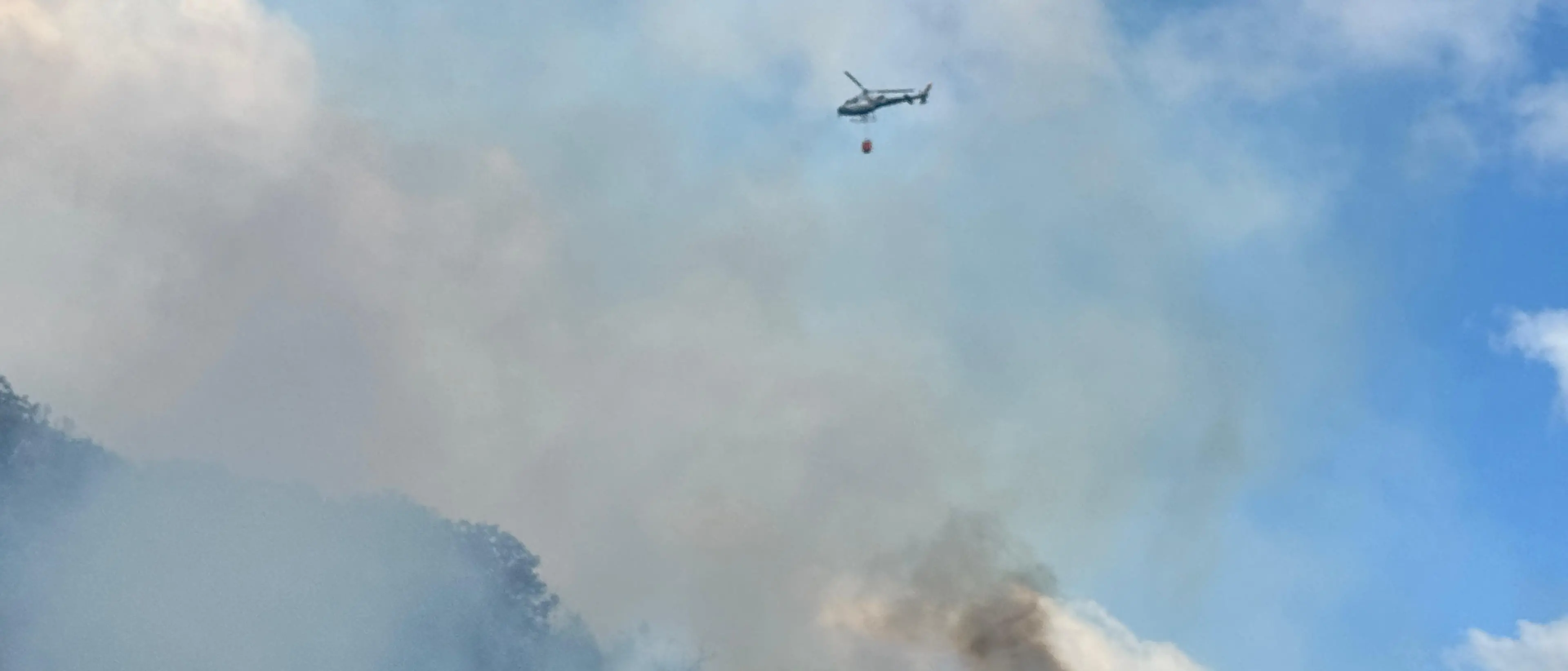 Belvedere Marittimo, vasto incendio devasta zona collinare\n