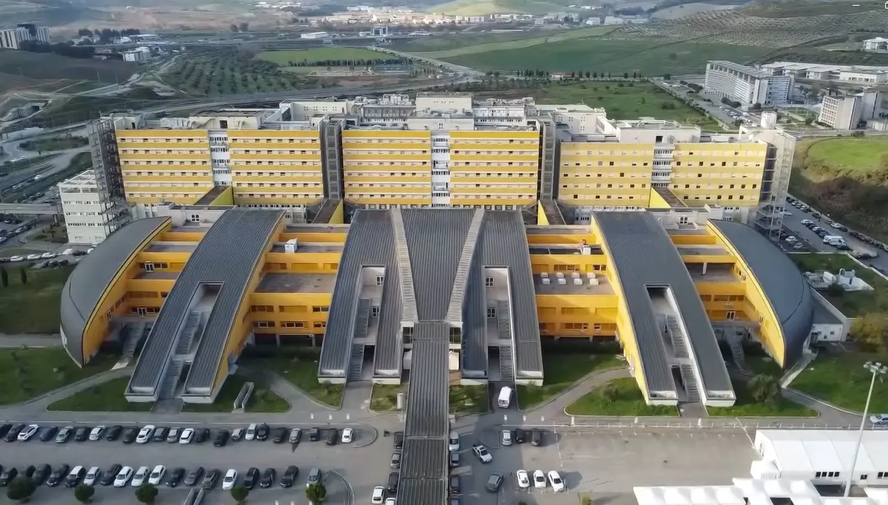 La “guerra” dell’Università di Catanzaro contro i super batteri: il team di scienziati che ha conquistato la scena mondiale\n