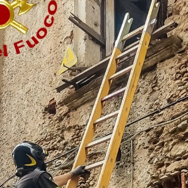 Crollo nel centro storico di Cosenza, due cani imprigionati sotto le macerie