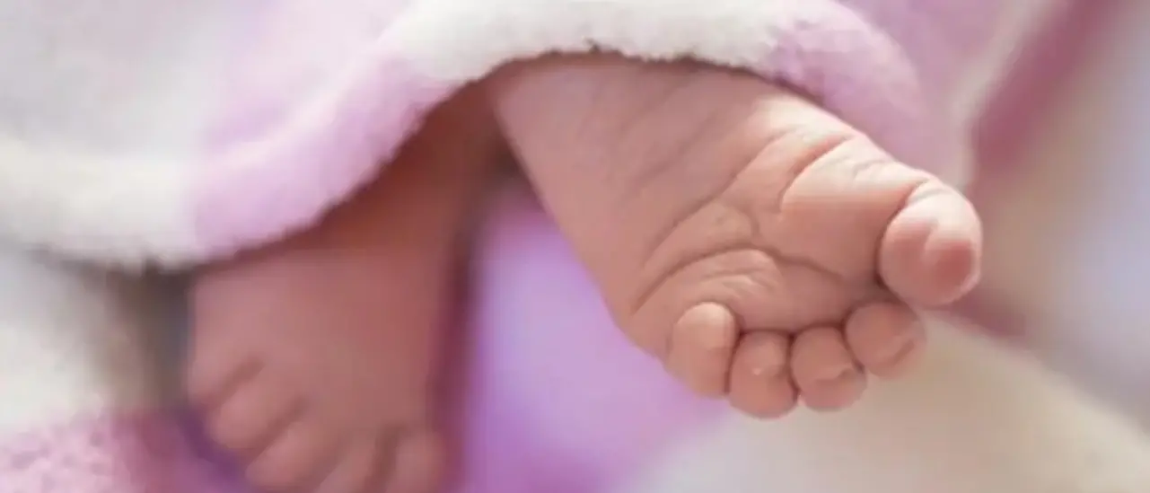 Nata in mare a Caulonia e ora pronta a crescere e splendere: il dono della vita\u00A0è sempre un atto di coraggio\n