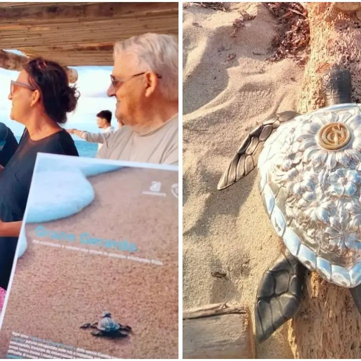 I gioielli di Gerardo Sacco per l’ambiente: a Ricadi le creazioni del Maestro celebrano le tartarughe marine\n