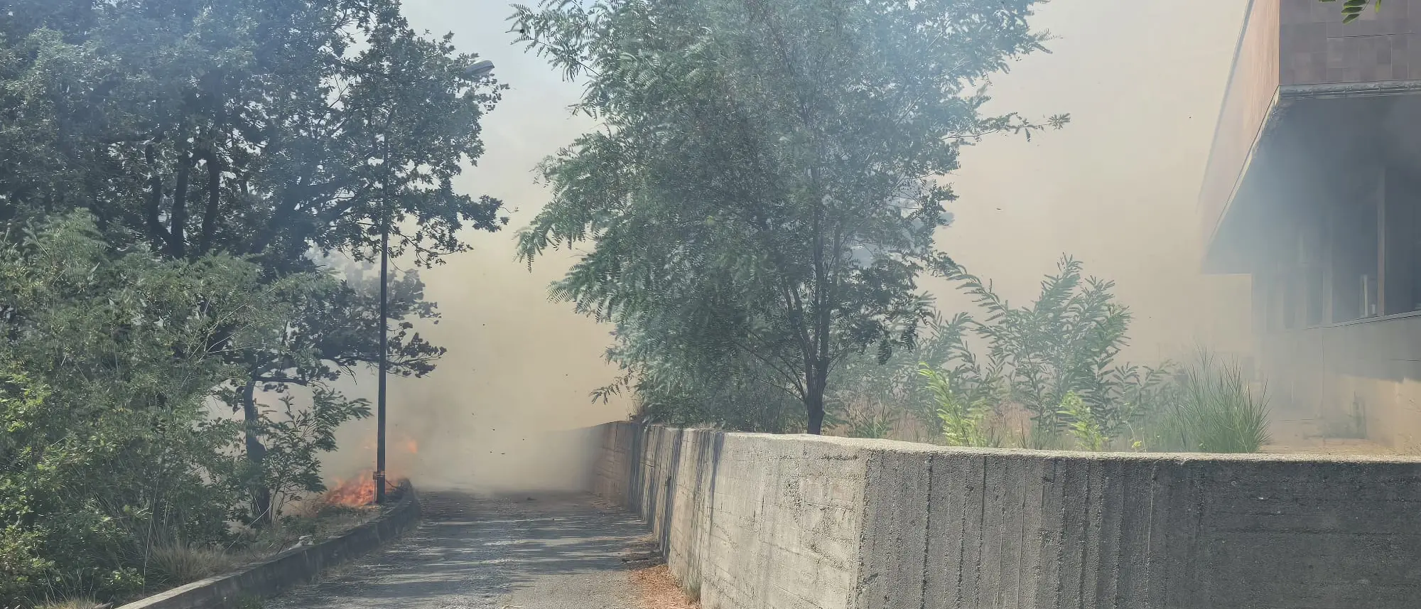 Incendio a Cetraro: le fiamme minacciano la collina sotto l’ospedale\n