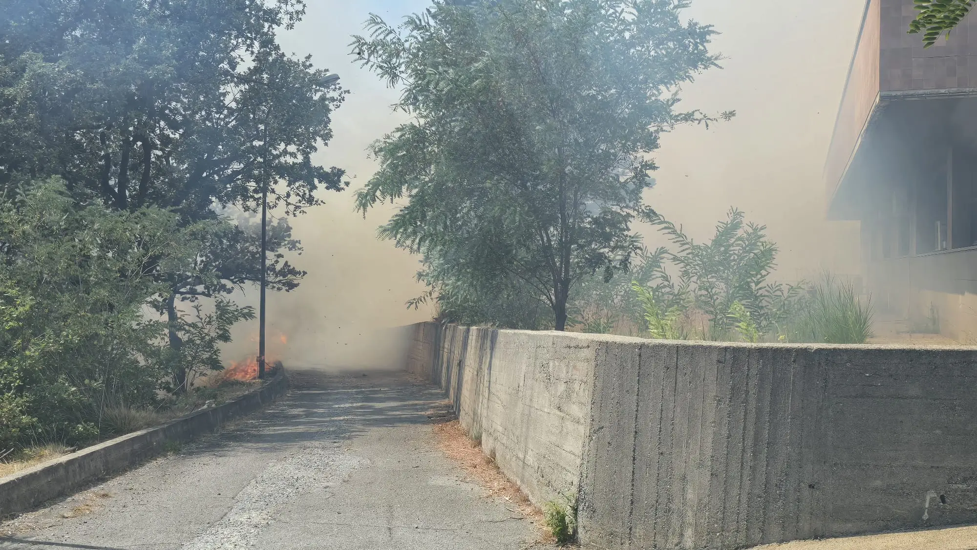 Cetraro, grosso incendio minaccia l'ospedale
