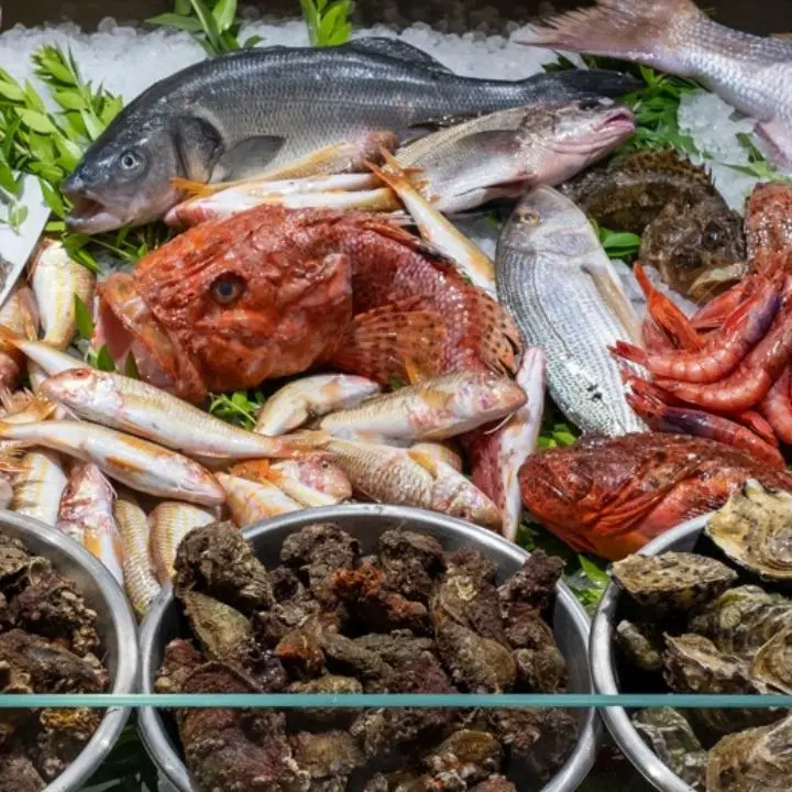 Il mito del pesce fresco tra realtà e leggenda: ma cosa ci mangiamo in provincia di Cosenza?\n