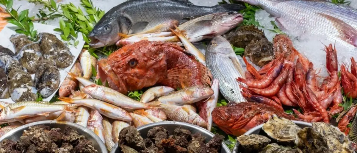 Il mito del pesce fresco tra realtà e leggenda: ma cosa ci mangiamo in provincia di Cosenza?\n