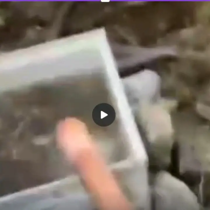 Sant’Agata d’Esaro, denuncia sulla qualità dell’acqua: «Rischio per la salute pubblica» | VIDEO\n