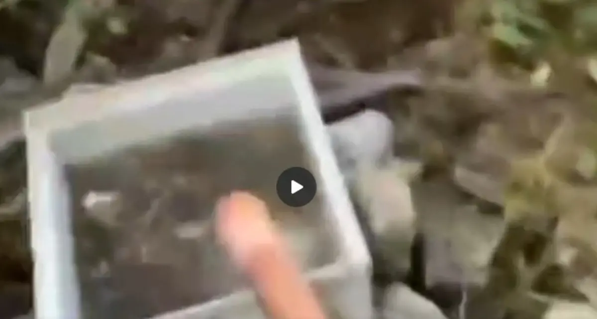 Sant’Agata d’Esaro, denuncia sulla qualità dell’acqua: «Rischio per la salute pubblica» | VIDEO\n
